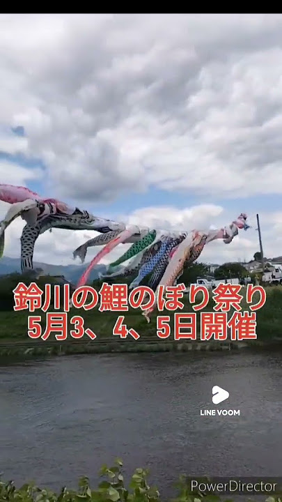 平塚市 第19回鈴川鯉のぼりまつりの開催にあわせて「ひらしん平塚文化芸術ホール」では2025年4月26日～5月6日まで特別展示がおこなわれます！号外NET 平塚市・大磯町