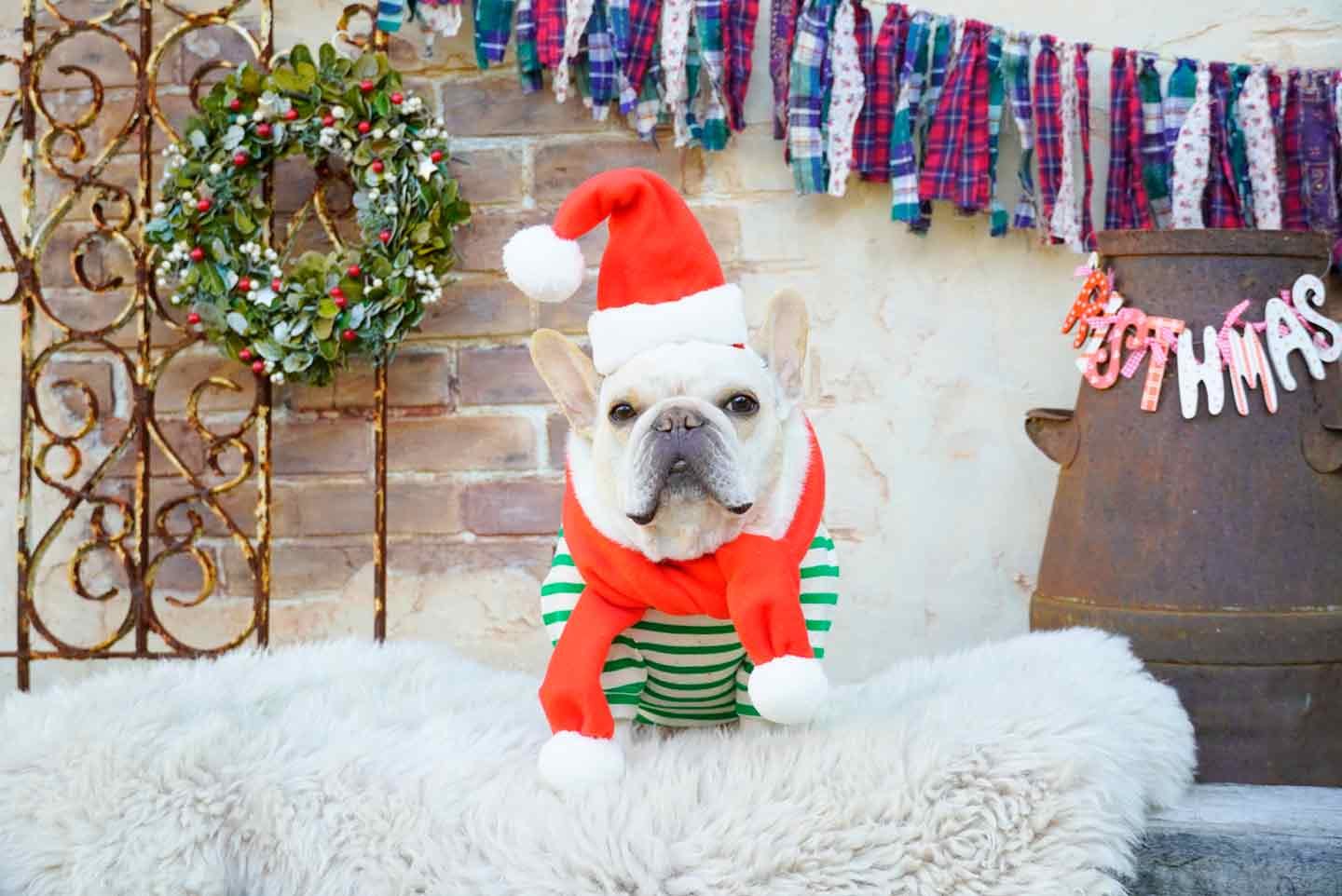 手縫いで簡単！サンタ帽子の型紙と作り方 ダッフィー服の作り方ぬいぺ型紙職人