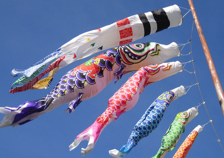 Amazon.co.jp: こいのぼり・武者のぼり - 端午の節句: おもちゃ: こいのぼり, 武者のぼり, ポール など