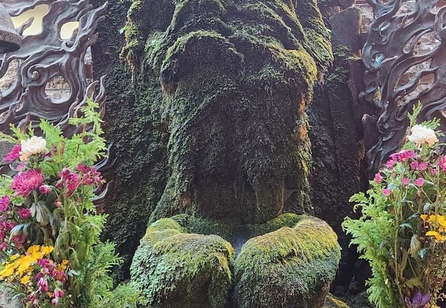 天龍山 法善寺水掛不動明王2024.12.28 背後の電柱&電線は地中に埋めてもらえないものか、、法善寺天龍山法善寺納め不動水掛不動明王水掛不動尊石造不動明王不動明王fudomyoomizukakefudohozenjihozenjitempleosaka