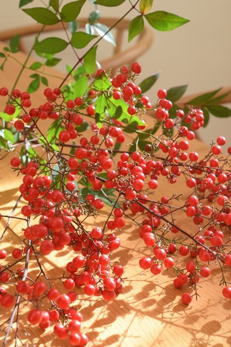 15 件の「南天の実インテリア」のアイデアを今すぐ保存お正月アレンジ、お正月 飾り、南天 など