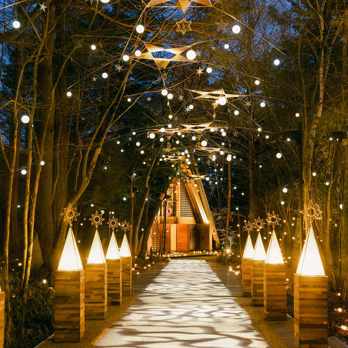 まもなくクリスマスシーズンが到来！3日限定の「フェスタ・ルーチェランタンフェス」で夜空に浮かぶ無数のランタンを楽しもう！ 和歌山