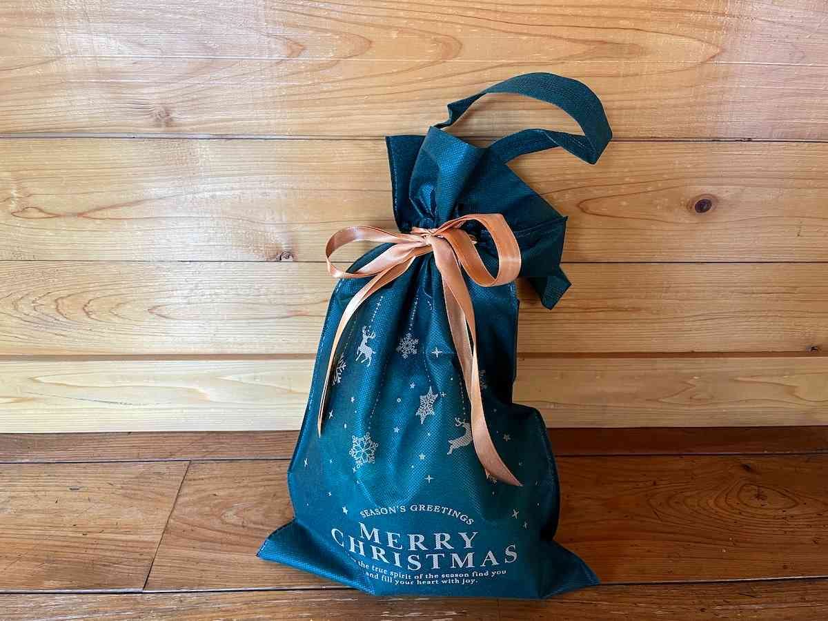楽天市場 ラッピング 袋 クリスマス 巾着 W38ｘＨ51 マチあり2枚セット ギフト ラッピング リボン付き 大きい 梨地 不織布 2層袋プレゼント用 ギフト袋 雪 柄 Xmas かわいい おしゃれ 高級感 サンタクロース : TBnexus
