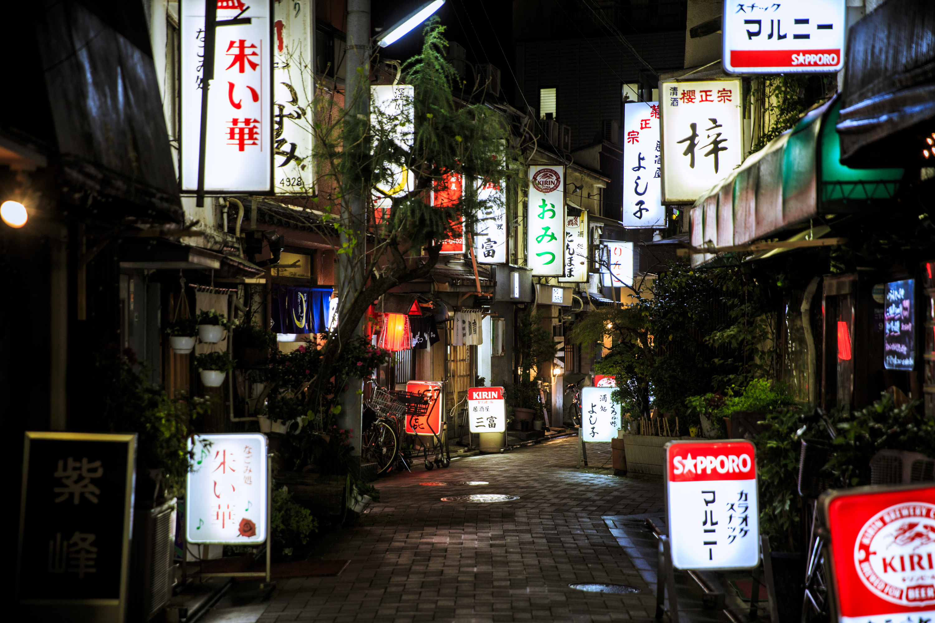 門前仲町の住みやすさ 江戸最大の八幡様に守られる、粋と人情が息づく街三井でみつけて