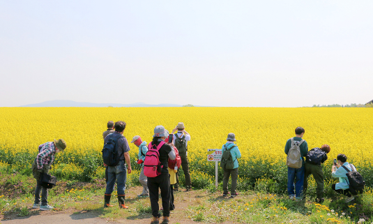 たきかわ菜の花まつり バルーンアート 26120070974 の写真・イラスト素材アマナイメージズ