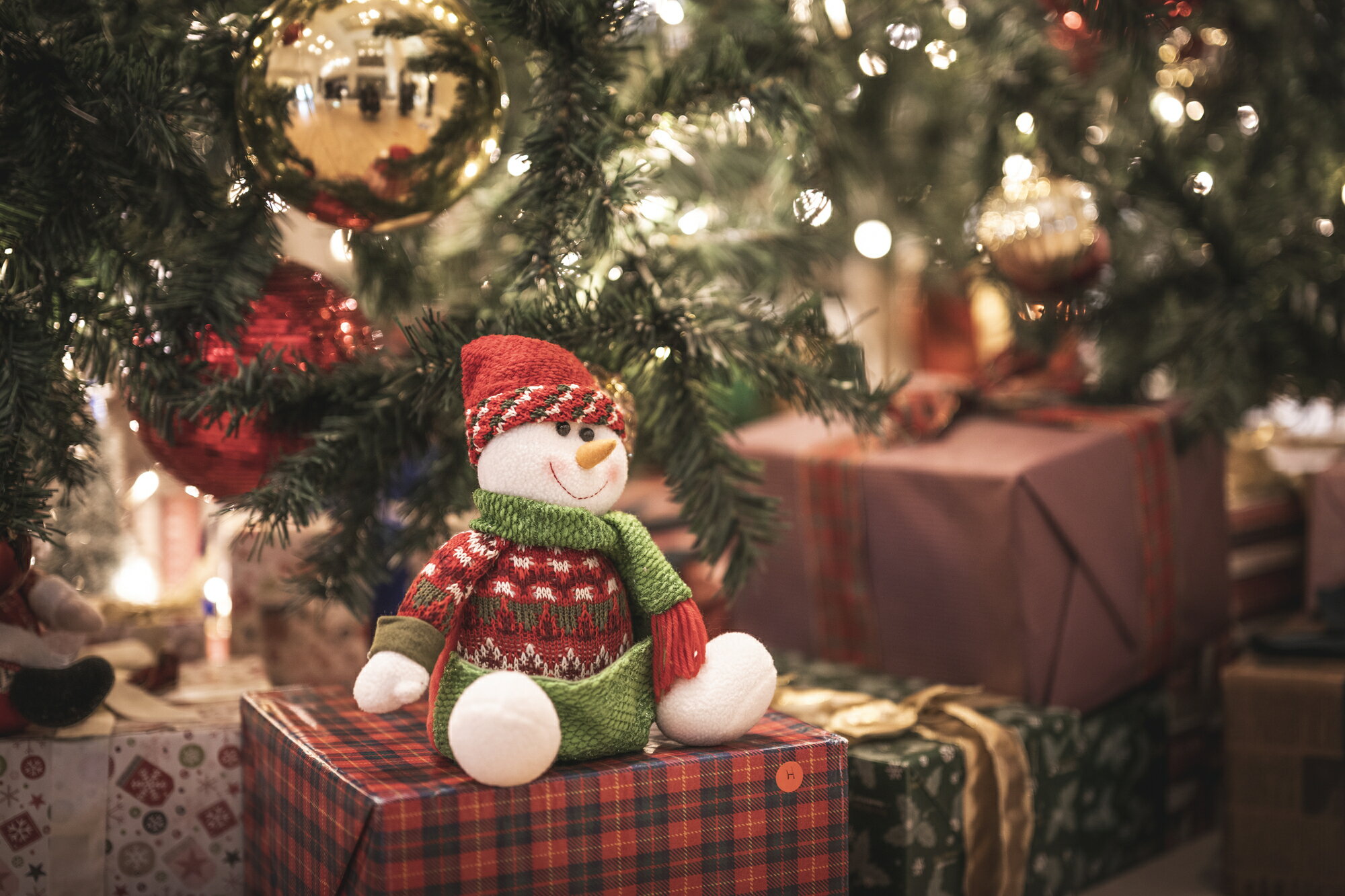 クリスマスの意味や起源とは？ツリーやケーキ、プレゼントの由来などを解説 - For your LIFE